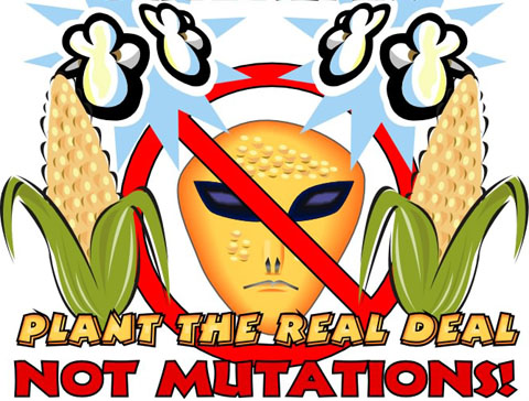 The human species has survived on "the real deal" for thousands of years before the introduction of bioengineered foods in 1994--what's the need for mutated corn now?